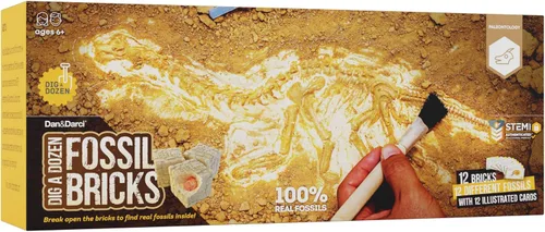 Miniatura 5 de Dan&Darci Excava una Docena de Ladrillos Fósiles - Rompe 12 Bloques y Descubre 12 Fósiles Reales Únicos - Rellenos para Cestas Arqueología Ciencia