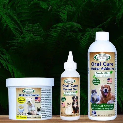 Juego dental de cuidado bucal – Polvo de cuidado bucal, aditivo de agua de 16 onzas, gel dental de 4 onzas, paquete completo de cuidado bucal diario