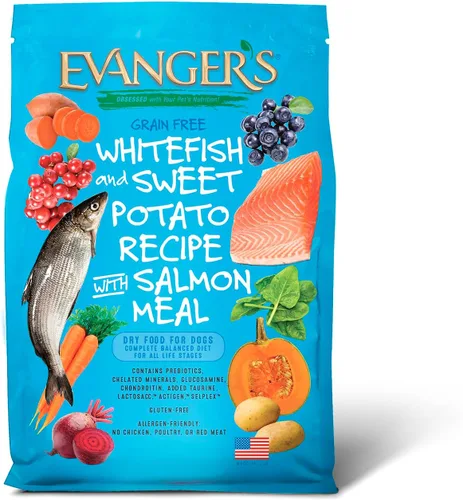Miniatura 14 de Evanger's Pollo sin granos con batata y calabaza alimento seco para perros – 4.4 libras – Pollo fresco deshuesado, probióticos, omegas 3 y 6, sin