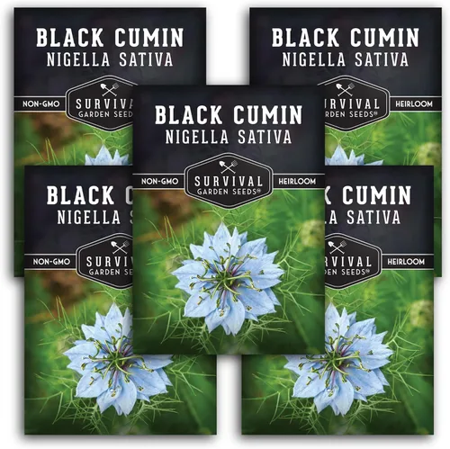 Miniatura 12 de Survival Garden Seeds Nigella Sativa Semillas de comino negro para plantar, 1 paquete Té medicinal de semillas negras y especias culinarias