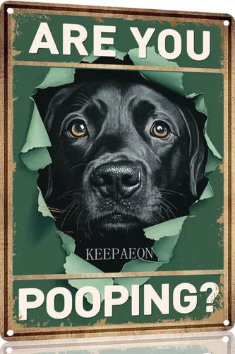 Letrero de lata divertido vintage de Labrador Retriever Are You Pooping para decoración de pared de baño, inodoro, 12 x 8 pulgadas para decoración