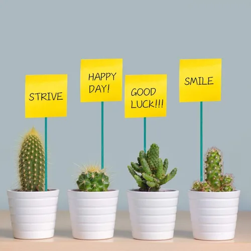 Miniatura 6 de 30 estacas de jardín de bambú verde de 16 pulgadas, palos de soporte de plantas de madera con lazos de jardín y correa de nailon para plantas