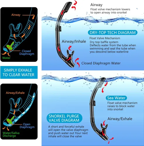 Miniatura 4 de Equipo de esnórquel para adultos, juego de esnórquel máscara de buceo, gafas de natación para adultos con cubierta de nariz, vidrio templado HD