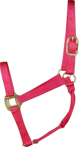 Miniatura 17 de Hamilton Quality Horse Halter, nailon de triple capa de 1 pulgada, anilla o burro estándar, 300-500 libras, rojo Rojo (Red Brick)