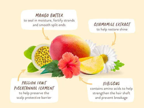 Miniatura 9 de Babo Botanicals - Acondicionador nutritivo de mango e hibisco, para cabello seco, dañado y tratado con color, hidrata y suaviza, cartón resistente