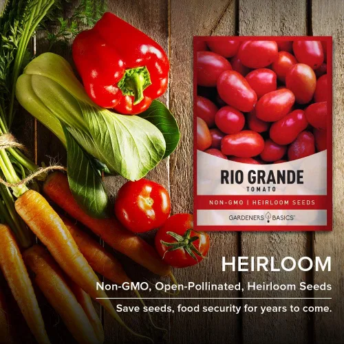 Miniatura 4 de Gardeners Basics Semillas de tomate Rio Grande para plantar semillas tradicionales sin OMG para verduras de jardín casero son un gran regalo