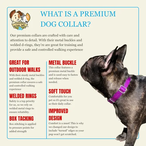 Miniatura 5 de Country Brook Petz – Collar de nailon premium con hebilla de metal para perros de razas pequeñas, medianas y grandes – Más de 10 colores geniales