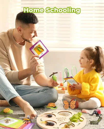 Miniatura 5 de JoyCat Juguetes Educativos de Aprendizaje del Ciclo de Vida, Kit de Oruga de Insecto a Mariposa, Mariquita, Abeja, Kit de Renacuajo a Rana, Juguetes