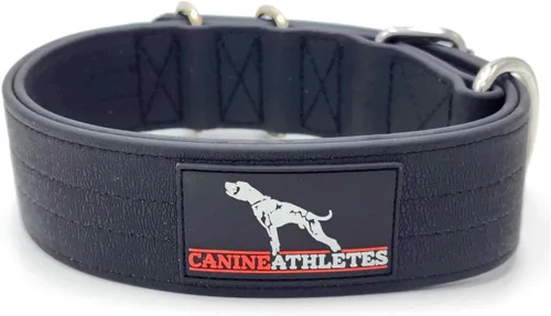 Miniatura 4 de Canine Athletes Collar para perro de trabajo de doble capa impermeable AP-Sport de 2 pulgadas (tamaño pequeño)