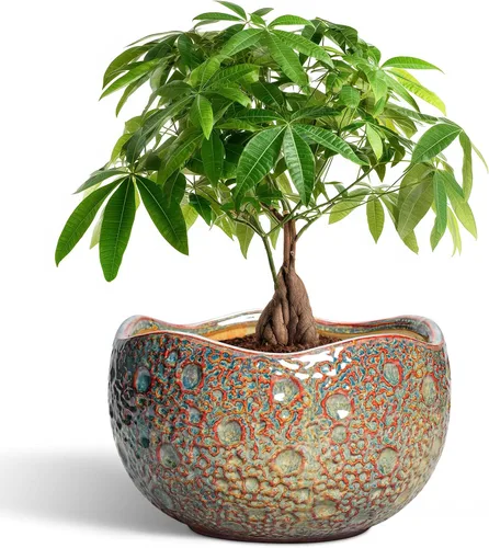 Miniatura 25 de Macetas de Cerámica Thirtypot - Maceta de 4 Pulgadas con Agujero de Drenaje, Macetas Pequeñas para Plantas de Interior y Exterior, Maceta Redonda