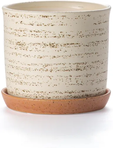Maceta Chubacoo de 6 Pulgadas: Maceta de Cerámica con Agujero de Drenaje y Platillo - Maceta para Flores para Plantas de Interior y Exterior con