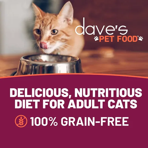 Miniatura 2 de Dave's Pet Food Grain Free Wet Cat Food (Minced Chicken in Gravy), Naturally Healthy Canned, Added Vitamins & Minerals, Wheat, Gluten & GMO-Free