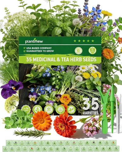 Miniatura 11 de Paquete variado de semillas de hierbas medicinales – 36 semillas de jardín de té de hierbas no transgénicas: manzanilla, lavanda, equinácea