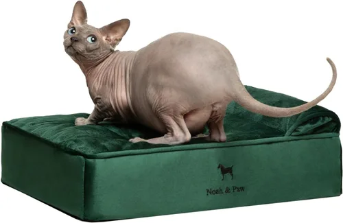 Miniatura 24 de NOAH & PAW Cama para perro, 28x23x7.5 pulgadas, camas ortopédicas para perros de tamaño mediano, espuma viscoelástica tipo cáscara de huevo Cuero