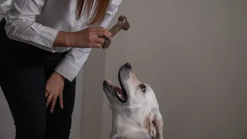 Miniatura 5 de Hero - Hueso de fémur Bonetics - Huesos de perro - Huesos de cachorro - Diseñado para perros extra grandes de hasta 75 libras (aroma a madera)