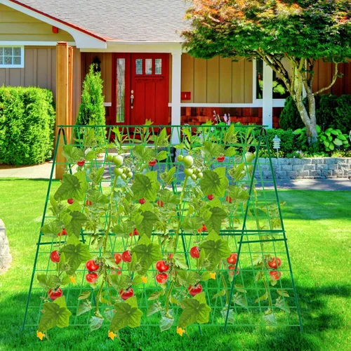 Miniatura 6 de Paquete de 2 enrejados plegables de pepino de 48 x 48 pulgadas para cama elevada, enrejado de jardín con marco en A para plantas trepadoras al aire