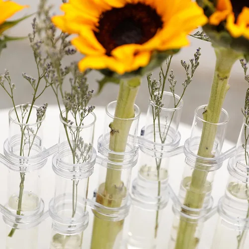Miniatura 5 de DOITOOL Jarrón de tubo de ensayo, 8 piezas, tubo de ensayo de vidrio, terrario, florero de vidrio transparente, maceta decorativa de tubo de ensayo