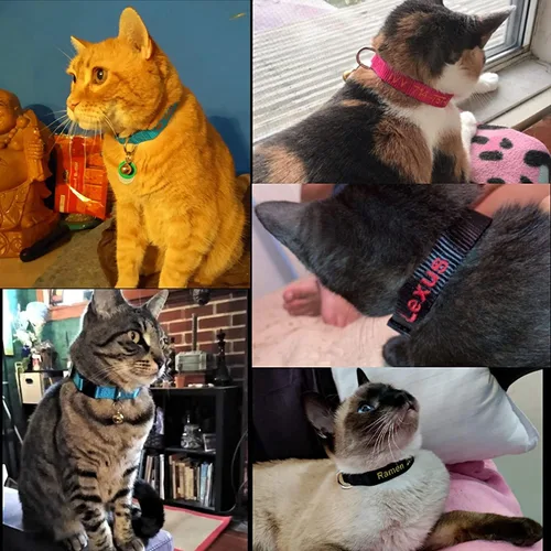 Miniatura 4 de 1 collar de gato personalizado con campana, collares de gato personalizados con nombre y número de teléfono, collar de identificación bordado
