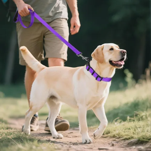 Miniatura 6 de Joytale - Collar reflectante para perro, collar de nailon transpirable con acolchado de neopreno suave para mascotas, ajustable para perros grandes