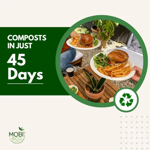 Miniatura 5 de Platos de papel, 100 % compostables, 10 pulgadas por 0.5 pulgadas de profundidad, plato desechable resistente, certificado (BPI), sin (PFAS)