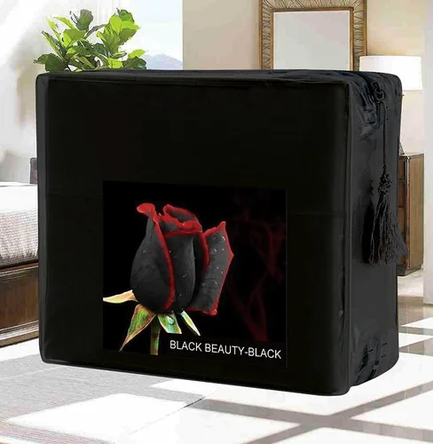 Miniatura 7 de Juego de ropa de cama Elegant Comfort, de 3 piezas, elegante, no se arruga, 1500 hilos egipcios