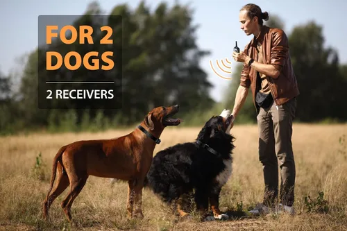 Miniatura 3 de PATPET Collar de choque de perro para 2 perros, collar E de rango de 3/4 millas para entrenamiento de perros con 3 modos de entrenamiento, collar