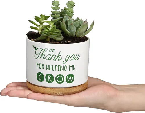 Miniatura 4 de DOMG Regalo de Apreciación para Maestros, Maceta de Cerámica para Suculentas Pequeña Maceta de Flores para Uso en Interior y Exterior, Gracias por
