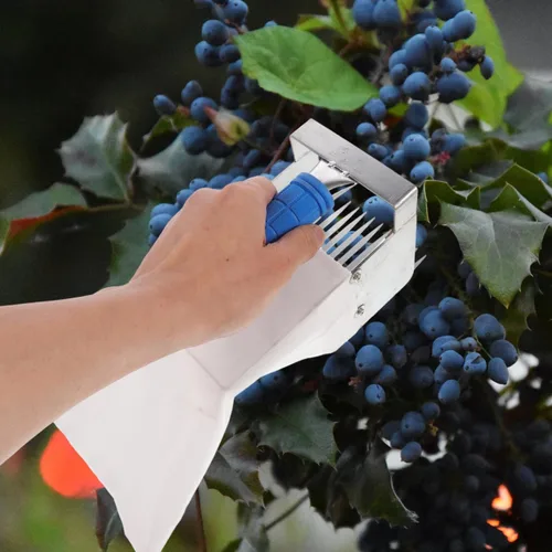 Miniatura 8 de Herramienta portátil para recoger arándanos con asa, rastrillo de bayas ligero para una eficiencia eficiente de arándanos, arándanos y más