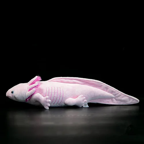 Miniatura 11 de Peluche de Axolotl - Animal de Peluche Axolotl Amarillo, Realista de 20" Lindos Anfibios Ambystoma Espeluznantes Juguetes de Peluche, Colección