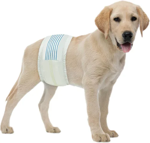 BV Pañales para Perros Machos Medianos (Cintura 13-23 pulgadas) Súper Absorbentes – 50 Unidades Desechables – Pañales para Perros con Indicador de