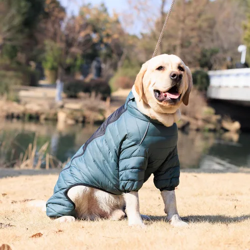 Miniatura 8 de ArmyGreen Abrigo para Perros - Chaleco reflectante cálido para perros pequeños, medianos y grandes, impermeable, resistente al viento, con Verde