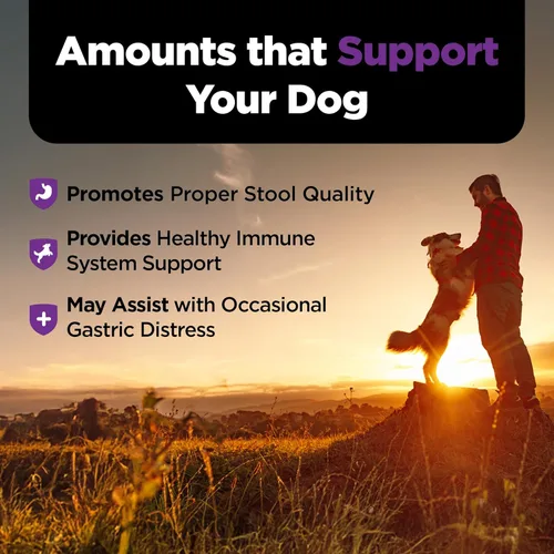 Miniatura 9 de Nutri-Vet Pre y probióticos para perros, apoyo digestivo, malestar estomacal, probiótico para cachorros, vitaminas y suplementos para mascotas