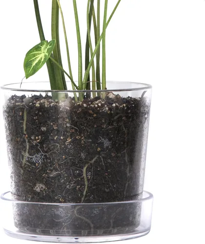 Miniatura 8 de Phoenix Vine Maceta de acrílico transparente de 3.5 pulgadas con bandeja, maceta de orquídeas con agujeros de drenaje, platillo profundo para riego
