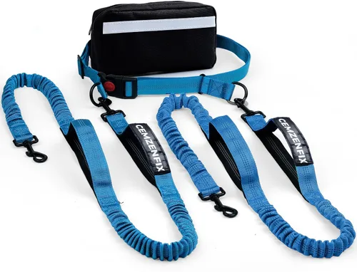 Miniatura 18 de Correa de perro manos libres con cinturón – Bungee sin tirones, asas acolchadas dobles y bolsa con cremallera para correr, caminar y entrenar
