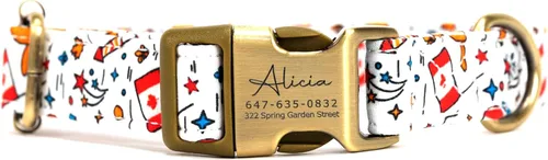 Miniatura 12 de Collar de perro personalizado con nombre y número de teléfono grabado, collar ajustable personalizado para cachorros, collar de algodón orgánico