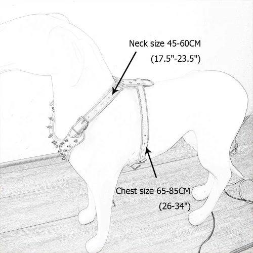 Miniatura 3 de Collares de cuero para perros medianos y grandes, juego de 2 arneses a juego para Pit Bull, Mastín, Boxer, Bull Terrier