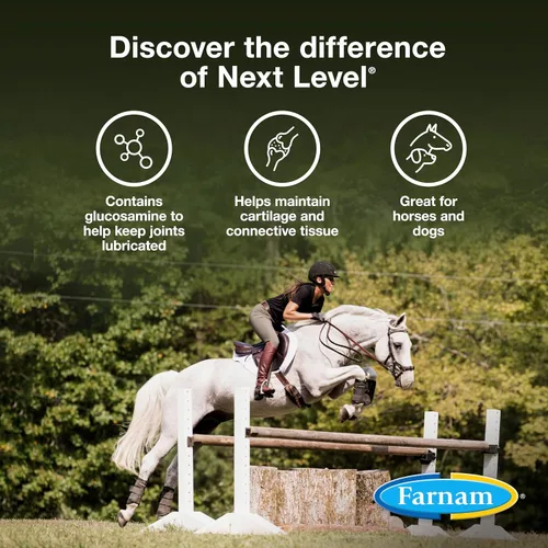 Miniatura 3 de Farnam Next Level Suplemento para articulaciones de caballo para caballos y perros, ayuda a mantener el tejido conectivo para aliviar la rigidez