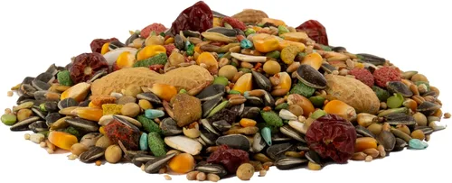 Miniatura 4 de Wild Harvest Advanced Nutrition - Loro de 4 libras, mezcla de semillas, granos y verduras