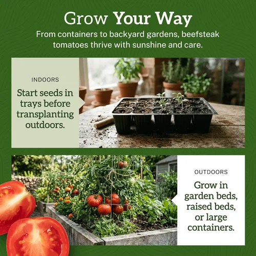 Miniatura 8 de TKE Farms & Gardens - Semillas de tomate Beefsteak para plantar, más de 75 variedades tradicionales sin OMG, cultiva tomates grandes y jugosos