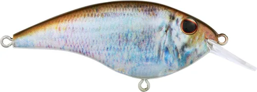 Miniatura 58 de Berkley Frittside Fishing Hard Bait Bronceado en aerosol