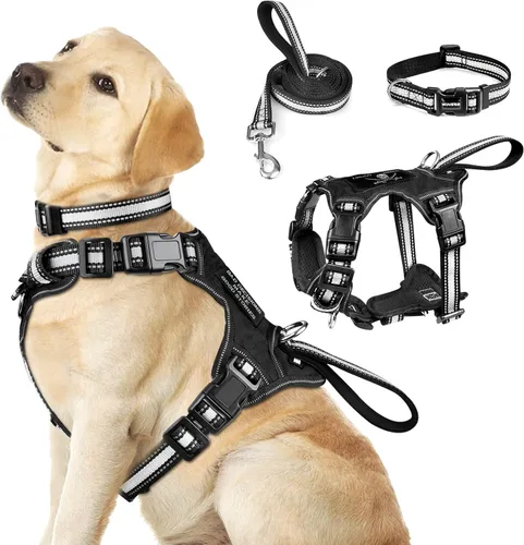 WINSEE Juego de arnés para mascotas, collar y correa, arnés reflectante todo en uno para perro, sin tirones, con hebillas ajustables para cachorros,