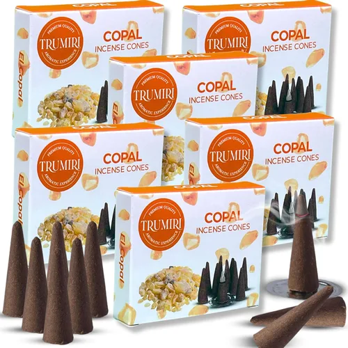 Miniatura 62 de TRUMIRI Incienso ámbar – Paquete de 20 conos (2 x 10) – Incienso de cono perfumado