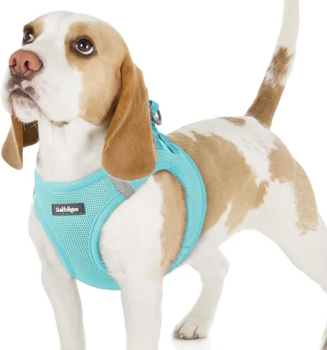 Miniatura 109 de rabbitgoo Arnés para perro pequeño, chaleco de malla suave para cachorros con hebilla de seguridad, arnés reflectante transpirable para mascotas