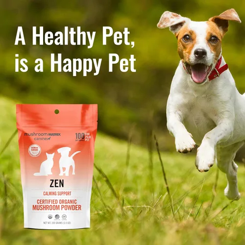 Miniatura 5 de Om Mushroom Matrix Pet - Canino Mezcla de hongos Zen Matrix Suplemento para mascotas en polvo de hongos orgánicos de grado humano cultivado