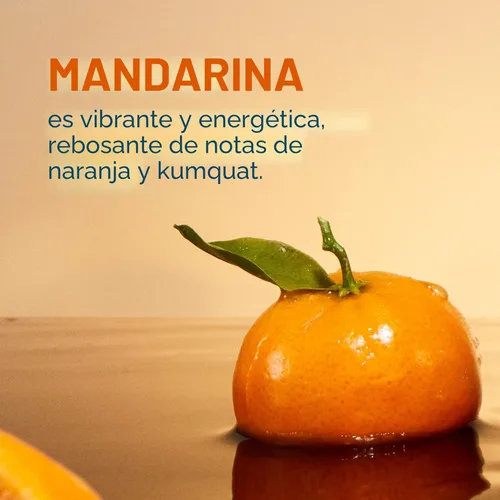 Miniatura 2 de Liquid I.V.® Multiplicador de hidratación+apoyo inmunológico - Mandarina Mezcla de bebida en polvo con electrolitos 1 paquete (14 porciones)