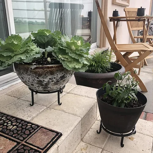 Miniatura 4 de Paquete de 4 soportes de metal negro para macetas de piso para plantas de interior y exterior de 23 cm, soporte para macetas de flores resistente