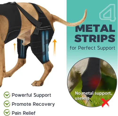 Miniatura 2 de Rodillera para perro para pierna trasera desgarrada, ajustable para pierna trasera con 4 estabilizadores, reduce el dolor, lesiones de ligamentos