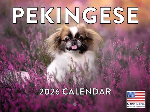 Miniatura 200 de Calendario de pared mensual 2025 Great Dane de 12 meses, fabricado en Estados Unidos