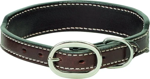 Miniatura 2 de Weaver Pet - Collar de perro con cuentas, 3/4 x 15 pulgadas