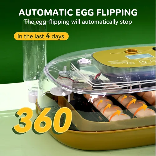 Miniatura 3 de Incubadora de 24 huevos con girador automático, asiento de termómetro y control de humedad, perfecta para incubar pollo, incluye vela de huevos